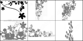 Flower Vines Brushes Photoshop