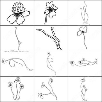 Drawing Flower Brushes