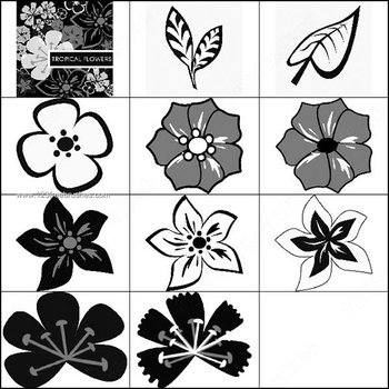 Floral Brushes for Photoshop 7