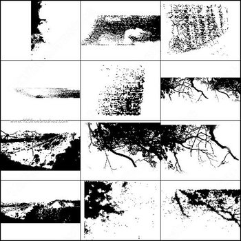 Free Grunge Tree Brushes Photoshop