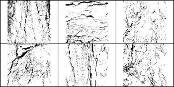Free Photoshop Tree Bark Brushes