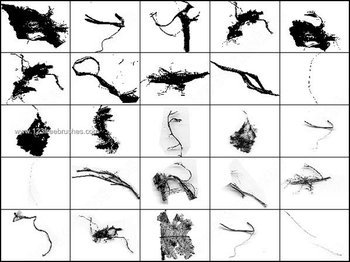 Grunge Line Elements Brushes