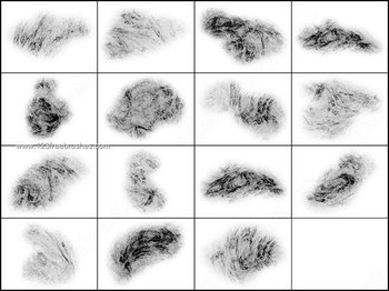 Shadows Photoshop Brush Set