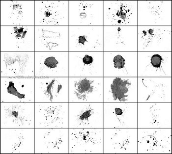 Nature Splatter Pack for Photoshop CS2