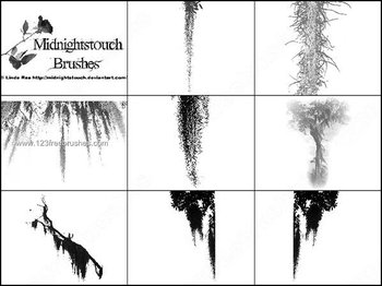 Spanish Moss Brushes Free