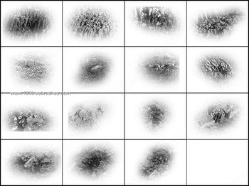 Free Sparkle Photoshop Brushes