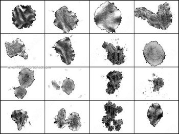 Free Coffee Stain Brushes for Photoshop 7