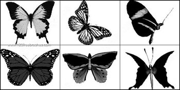 Free Butterfly Brushes
