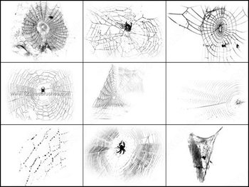 Spiders Web Brushes Photoshop