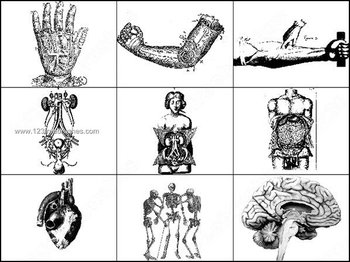 Old Anatomy – Skeleton – Brain Photoshop Brushes