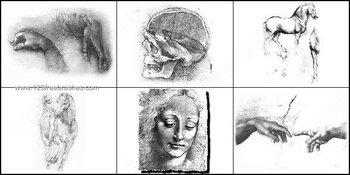 Girl Face – Hand – Horse – Skull Brushes