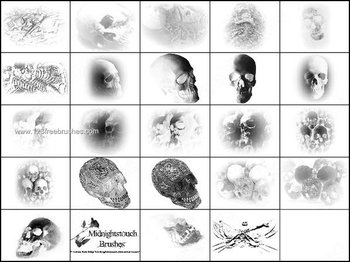 Skull Brushes for Photoshop 7