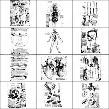 Body Sketches Brush for Photoshop CS3