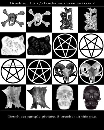 Crossbones – Human and Animal Skulls