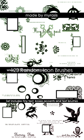 Icon Floral Frames