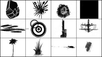 Palm Tree – Circle – Transformer Brushes