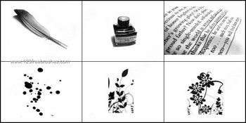 Dear Diary Brushes