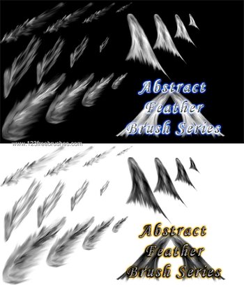 Abstract Feather