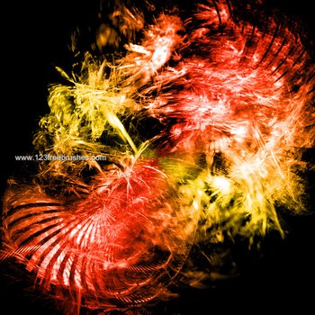 Abstract Bokeh Brushes