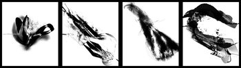 Abstract Brushes In Photoshop