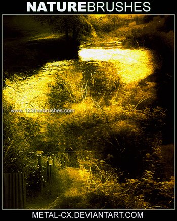 Fractal Brushes Photoshop Cs3