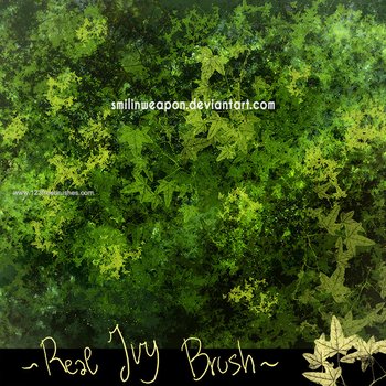 Abstract Brushes Cs5