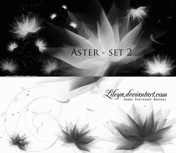 Abstract Brushes Cs6