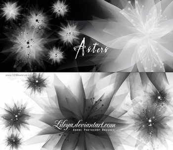 Abstract Brushes Cs5