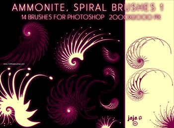 Abstract Spiral