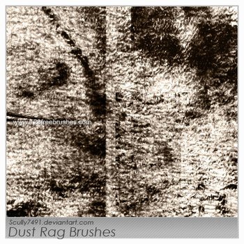 Dust Rag