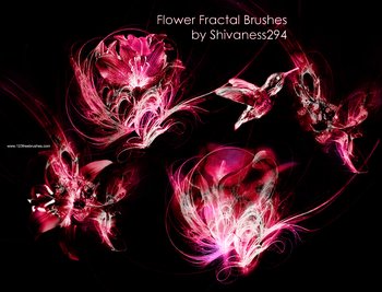 Flower Fractal