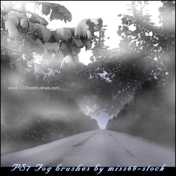 Fog Mist