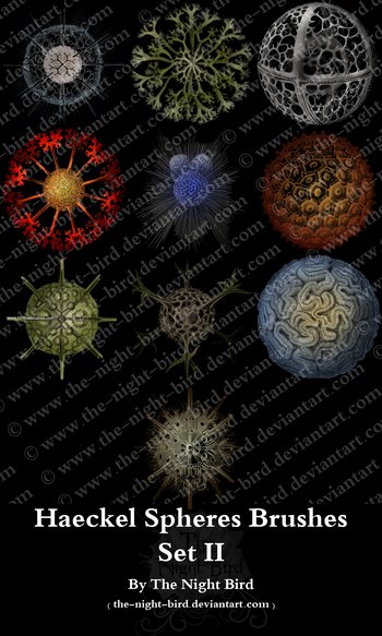 Haeckel Spheres