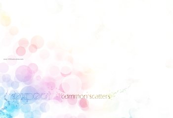 Scatter
