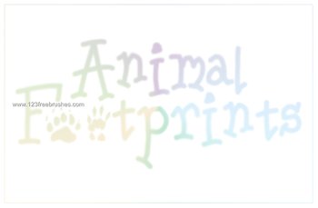 Animal Footprints