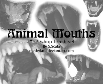 Animal Mouths