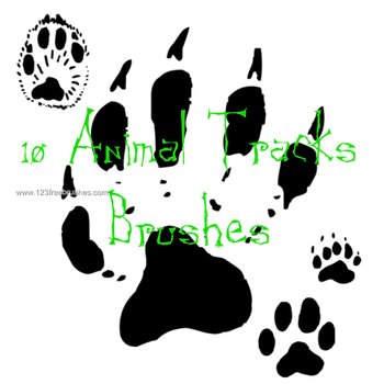 Animal Tracks