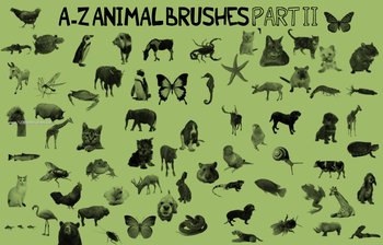 Animals Pack