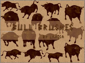 Bull