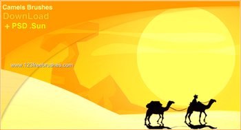 Camel