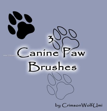 Canine Paw