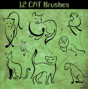 Cat Drawing