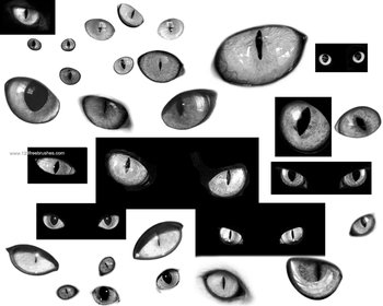 Cat Eyes