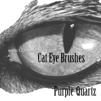 Cat Eyes
