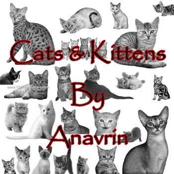 Cats and Kittens
