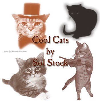 Cool Cats