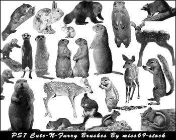 Cute-N-Furry Critters