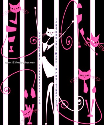 Cute Kitty Cats