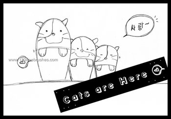 Cutie Cats