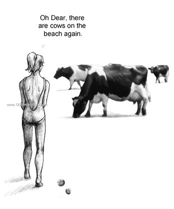 Dairy Cows